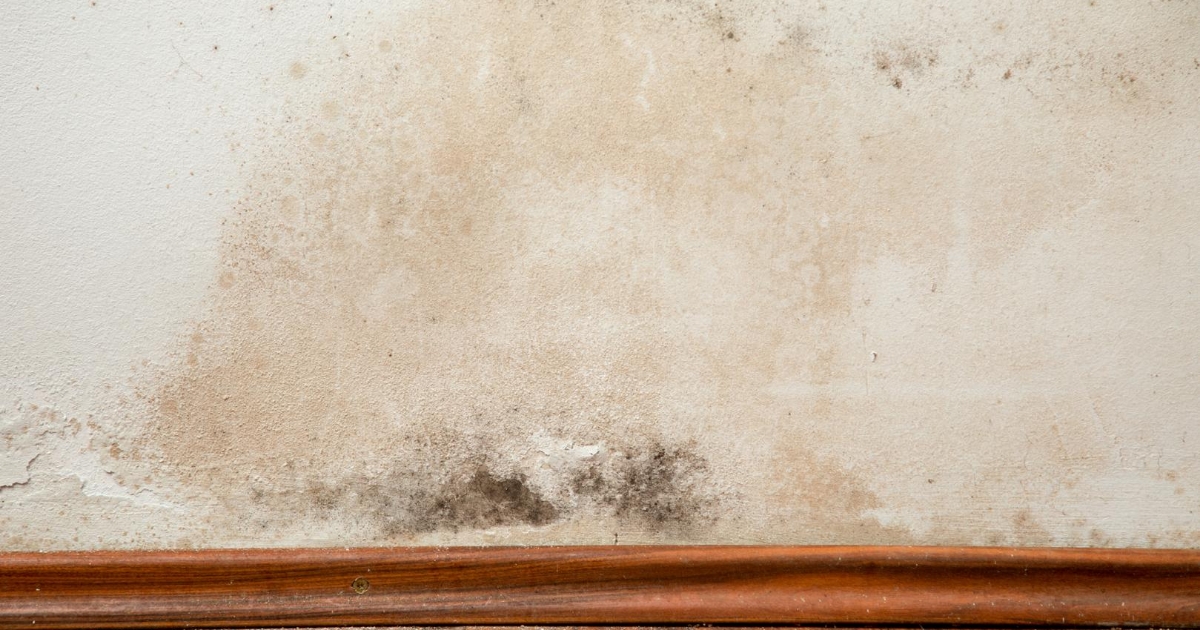 Diagnostic pathologie bâtiment Saint-Brieuc